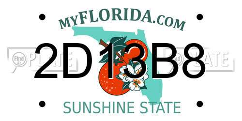 2D13B8 Florida License Plate