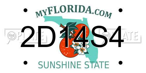 2D14S4 Florida License Plate