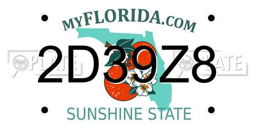 2D39Z8 Florida License Plate