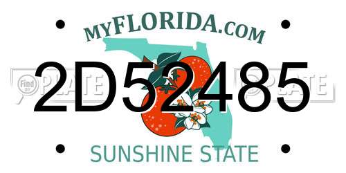 2D52485 Florida License Plate