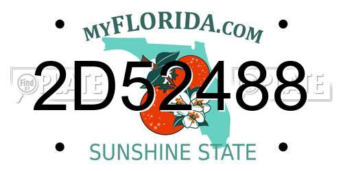 2D52488 Florida License Plate