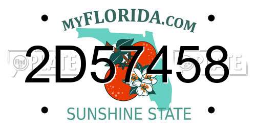 2D57458 Florida License Plate