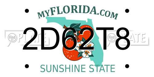 2D62T8 Florida License Plate