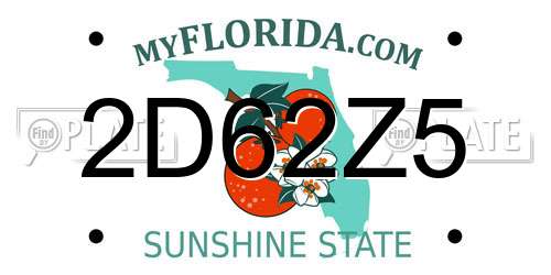 2D62Z5 Florida License Plate