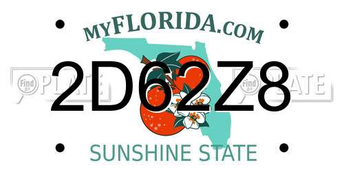 2D62Z8 Florida License Plate