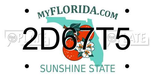 2D67T5 Florida License Plate