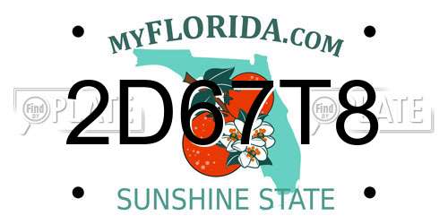 2D67T8 Florida License Plate