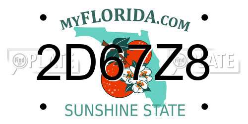 2D67Z8 Florida License Plate