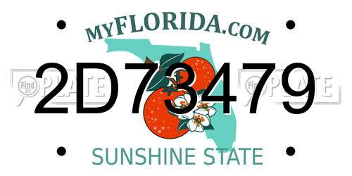 2D73479 Florida License Plate