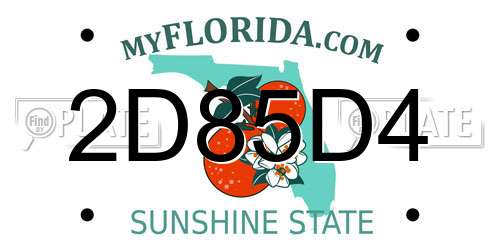 2D85D4 Florida License Plate