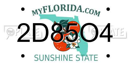 2D85O4 Florida License Plate