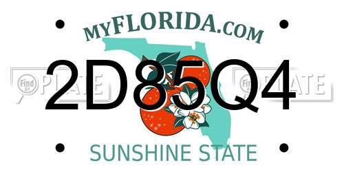 2D85Q4 Florida License Plate