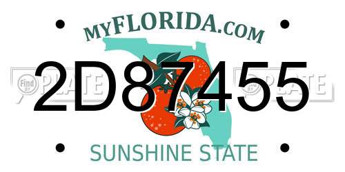 2D87455 Florida License Plate