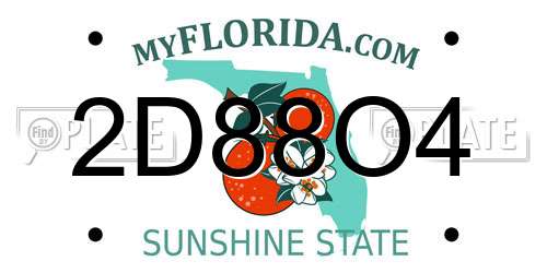 2D88O4 Florida License Plate