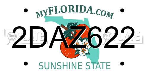 2DAZ622 Florida License Plate