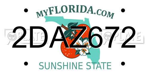 2DAZ672 Florida License Plate