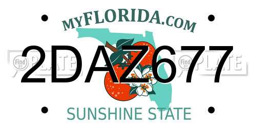 2DAZ677 Florida License Plate
