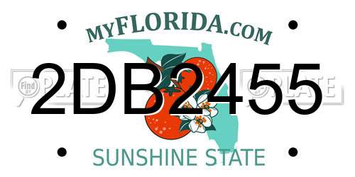 2DB2455 Florida License Plate
