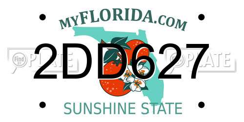 2DD627 Florida License Plate