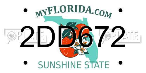 2DD672 Florida License Plate