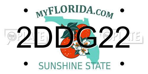2DDG22 Florida License Plate