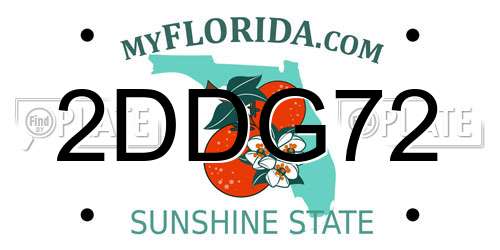 2DDG72 Florida License Plate