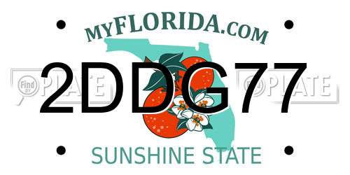 2DDG77 Florida License Plate
