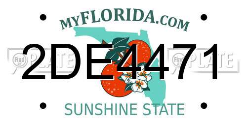 2DE4471 Florida License Plate