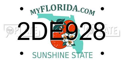 2DE928 Florida License Plate