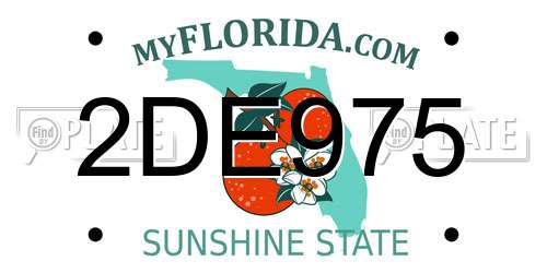 2DE975 Florida License Plate