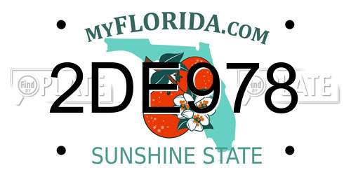 2DE978 Florida License Plate