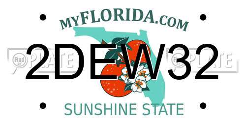 2DEW32 Florida License Plate