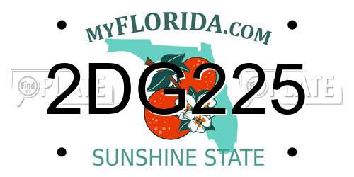 2DG225 Florida License Plate