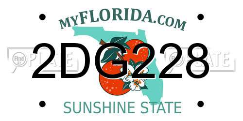 2DG228 Florida License Plate