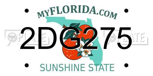 2DG275 Florida License Plate