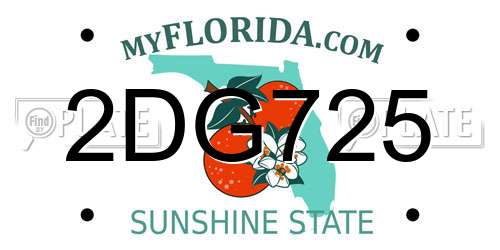 2DG725 Florida License Plate