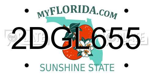 2DGL655 Florida License Plate