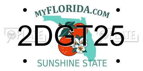 2DGT25 Florida License Plate