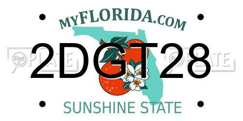 2DGT28 Florida License Plate