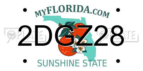 2DGZ28 Florida License Plate