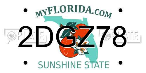 2DGZ78 Florida License Plate