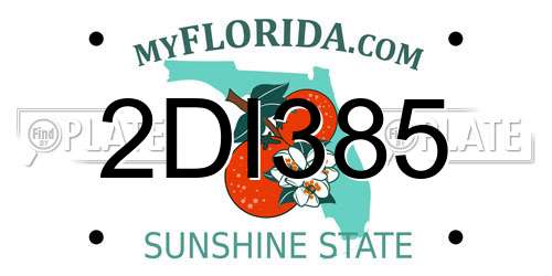 2DI385 Florida License Plate