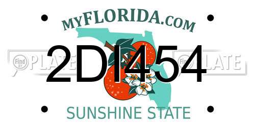 2DI454 Florida License Plate
