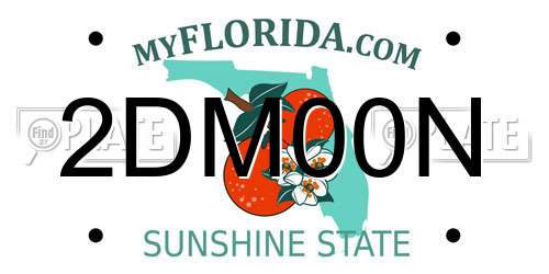 2DM00N Florida License Plate