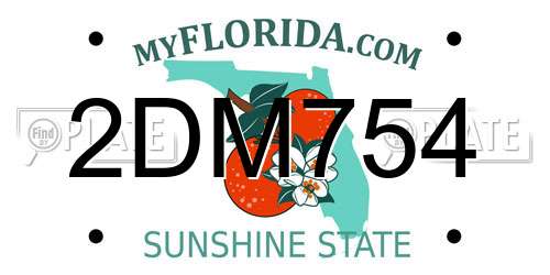 2DM754 Florida License Plate