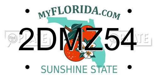 2DMZ54 Florida License Plate