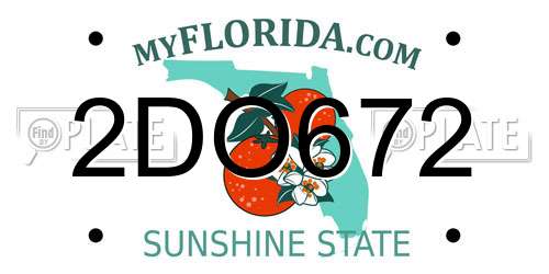 2DO672 Florida License Plate