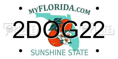 2DOG22 Florida License Plate