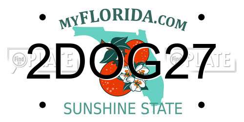 2DOG27 Florida License Plate