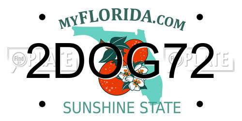 2DOG72 Florida License Plate